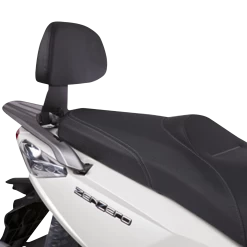 Shad Passanger Backrest Rack