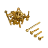 Valter Moto Engine Bolts Kit Gold