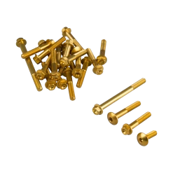 Valter Moto Engine Bolts Kit Gold