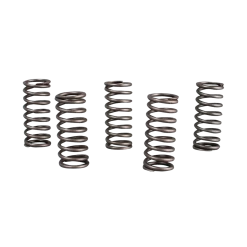 Clutch Spring Kit ProX
