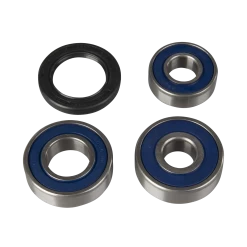 All Balls High Speed Rear Wheel Bearing Kit & Gasket Kit